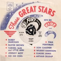 Various Artists - These Great Stars Are On Fire & Fur in the group CD / Pop-Rock at Bengans Skivbutik AB (3110104)