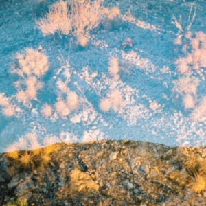 Moon Gangs - Earth Loop in the group CD / Pop-Rock at Bengans Skivbutik AB (3110238)