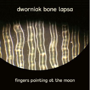 Dworniak Bone Lapsa - Fingers Pointing At The Moon in the group VINYL / Rock at Bengans Skivbutik AB (3110241)