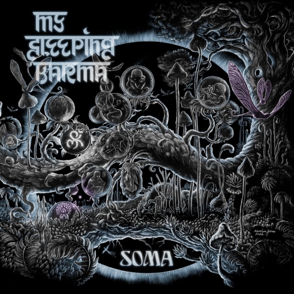 My Sleeping Karma - Soma - Ltd.Ed. in the group CD / Bestsellers at Bengans Skivbutik AB (3115759)