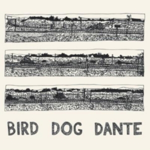 Parish John - Bird Dog Dante in the group VINYL / Pop-Rock at Bengans Skivbutik AB (3125036)