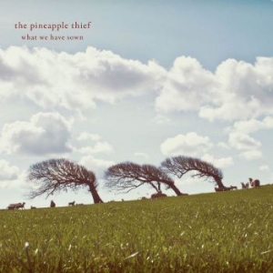Pineapple Thief - What We Have Sown in the group Minishops / The Pineapple Thief at Bengans Skivbutik AB (3126077)