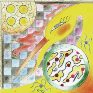 Wand - Perfume in the group CD / Pop-Rock at Bengans Skivbutik AB (3126974)