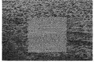 Grouper - Grid Of Points in the group CD / Pop-Rock at Bengans Skivbutik AB (3126978)