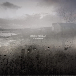Trinidad Joshua - In November in the group CD / Jazz at Bengans Skivbutik AB (3127040)