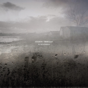 Trinidad Joshua - In November in the group VINYL / Jazz at Bengans Skivbutik AB (3127041)