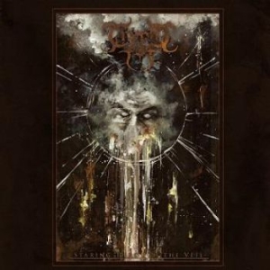 Cryptic Fog - Staring Through The Veil in the group CD / Hårdrock/ Heavy metal at Bengans Skivbutik AB (3179994)