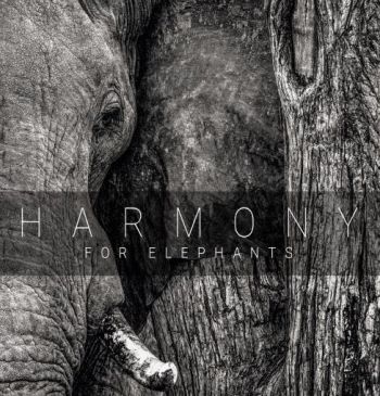 Various Artists - Harmony For Elephants ~ A Charity A in the group CD / Bestsellers at Bengans Skivbutik AB (3205254)