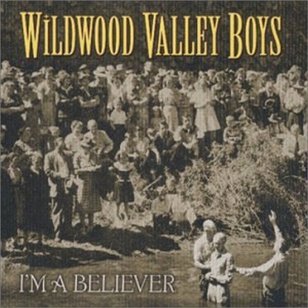 Wildwood Valley Boys - I'm A Believer in the group CD / Bestsellers at Bengans Skivbutik AB (3205447)