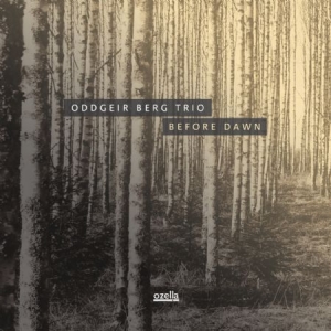 Berg Oddgeir (Trio) - Before Dawn in the group VINYL / Jazz at Bengans Skivbutik AB (3208017)