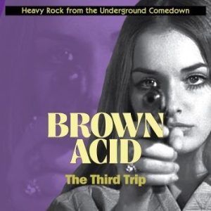 Various Artists - Brown Acid - The Third Trip in the group CD / Hårdrock at Bengans Skivbutik AB (3208350)