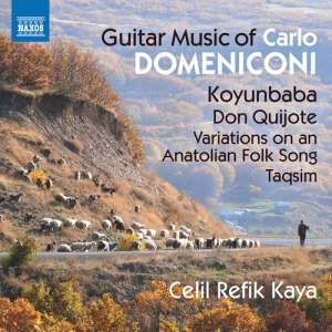 Domeniconi Carlo - Guitar Music in the group Externt_Lager /  at Bengans Skivbutik AB (3208490)