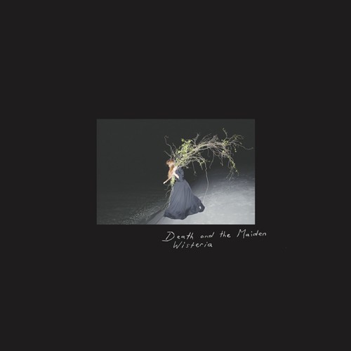 Death And The Maiden - Wisteria in the group VINYL / Rock at Bengans Skivbutik AB (3210272)