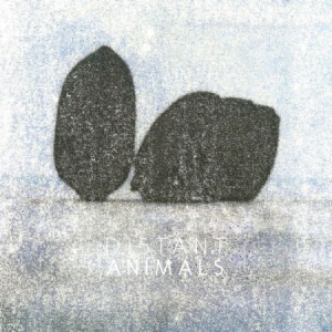 Distant Animals - Lines in the group VINYL / Rock at Bengans Skivbutik AB (3212029)