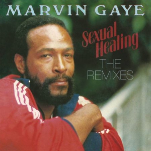 Gaye Marvin - Sexual Healing..-Coloured in the group OUR PICKS / Stocksale / Vinyl HipHop/Soul at Bengans Skivbutik AB (3214135)