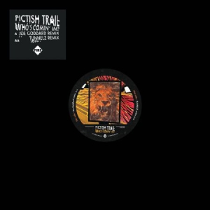 Pictish Trail - Who's Comin' In? in the group VINYL / Rock at Bengans Skivbutik AB (3217532)