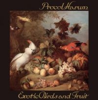 Procol Harum - Exotic Birds And Fruit:Digipak Edit in the group CD / Pop-Rock at Bengans Skivbutik AB (3223797)