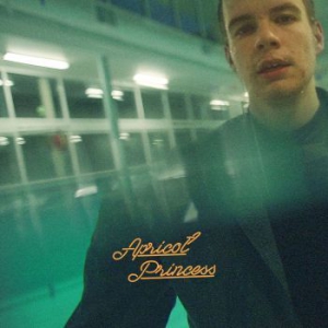 Rex Orange County - Apricot Princess (Orange Vinyl) in the group VINYL / Pop-Rock at Bengans Skivbutik AB (3226628)