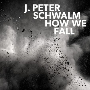 Schwalm J.Peter - How We Fall in the group VINYL / Pop at Bengans Skivbutik AB (3227679)