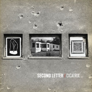 Second Letter - Cicatrix (Red Vinyl + Download) in the group VINYL / Rock at Bengans Skivbutik AB (3234541)