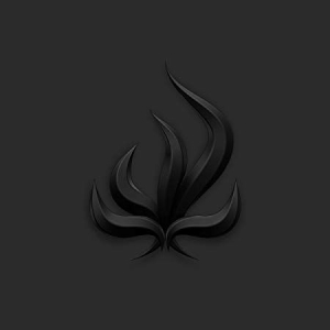 Bury Tomorrow - Black Flame in the group VINYL / Hårdrock/ Heavy metal at Bengans Skivbutik AB (3236650)