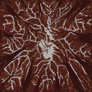 Trash Boat - Crown Shyness in the group CD / Rock at Bengans Skivbutik AB (3249013)