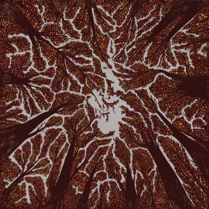 Trash Boat - Crown Shyness in the group CD / Pop-Rock at Bengans Skivbutik AB (3249013)