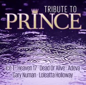 Various Artists - Tribute To Prince in the group CD / Pop-Rock at Bengans Skivbutik AB (3250540)