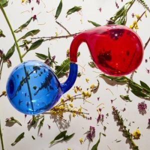 Dirty Projectors - Lamp Lit Prose in the group VINYL / Rock at Bengans Skivbutik AB (3250668)