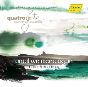 Various - Until We Meet Again: Irish Blessing in the group CD / Elektroniskt,World Music at Bengans Skivbutik AB (3265329)