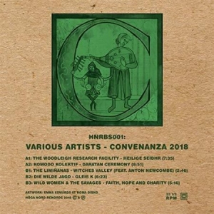 Blandade Artister - Convenanza 2018 in the group VINYL / Elektroniskt,Pop-Rock at Bengans Skivbutik AB (3276050)