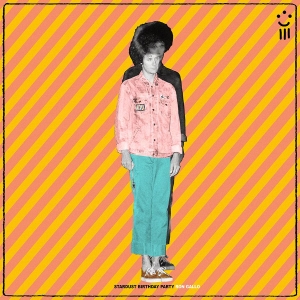 Gallo Ron - Stardust Birthday Party in the group CD / Pop-Rock at Bengans Skivbutik AB (3306686)