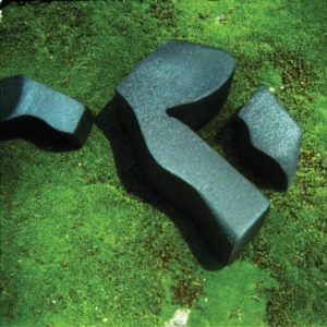 Camilla Fuchs - Heart Pressend Between Stones in the group OTHER / Övrigt /  at Bengans Skivbutik AB (3306719)