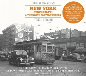 Various - Down Home Blues: New York, Cincinnati, North Eastern States in the group OTHER / Övrigt /  at Bengans Skivbutik AB (3306859)