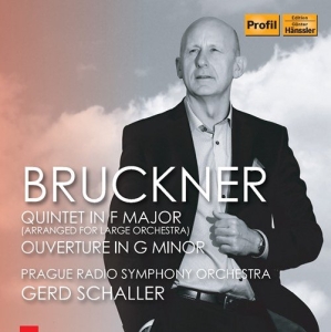 Bruckner Anton - String Quintet (Orch. Gerd Schaller in the group CD / Klassiskt at Bengans Skivbutik AB (3307153)