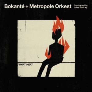 Bokante - What Heat in the group CD / Elektroniskt,World Music at Bengans Skivbutik AB (3307714)