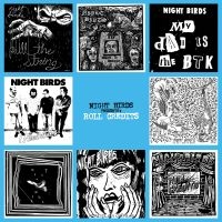Night Birds - Roll Credits (Vinyl Lp) in the group VINYL / Pop-Rock at Bengans Skivbutik AB (3309508)