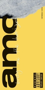 Bring Me The Horizon - Amo in the group Minishops / Metal on Sale at Bengans Skivbutik AB (3310267)