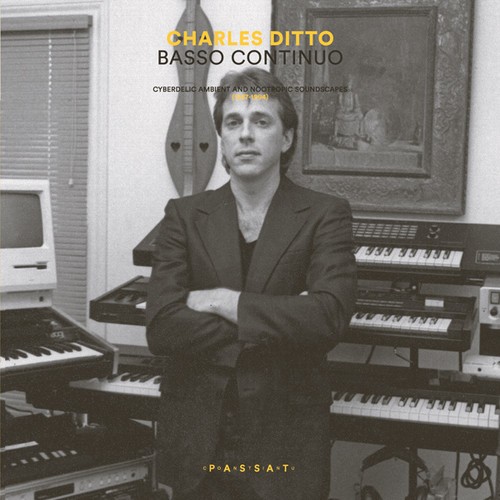 Ditto Charles - Basso Continuo: Cyberdelic Ambient in the group OTHER / Övrigt / at Bengans Skivbutik AB (3310790)
