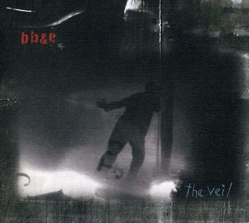 Nels Cline Tim Berne & Jim Black - The Veil in the group CD / Jazz/Blues at Bengans Skivbutik AB (3311419)