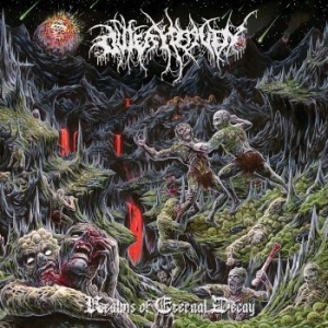 Outer Heaven - Realms Of Eternal Decay in the group CD / Hårdrock/ Heavy metal at Bengans Skivbutik AB (3317253)
