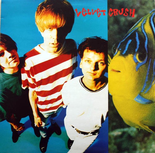 Velvet Crush - In The Presence Of Greatness in the group VINYL / Rock at Bengans Skivbutik AB (3322290)