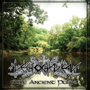 Nechochwen - The Ancient Pulse in the group CD / Hårdrock,Svensk Folkmusik at Bengans Skivbutik AB (3323251)