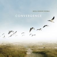 Mezza/Ginsburg Ensemble - Convergence in the group CD / Jazz at Bengans Skivbutik AB (3323370)