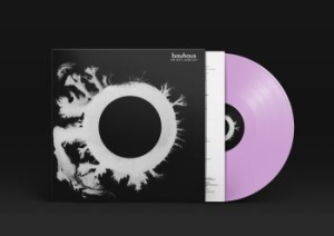 Bauhaus - The Sky's Gone Out (Violet Vinyl Re in the group VINYL / New releases / Rock at Bengans Skivbutik AB (3329979)