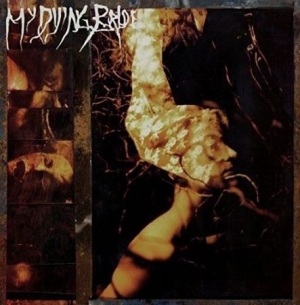 My Dying Bride - Symphonaire Infernus Et Spera Empyr Split Seam/Vikt hörn in the group OUR PICKS / Vinyl Campaigns / Split seams Sale at Bengans Skivbutik AB (3337337)