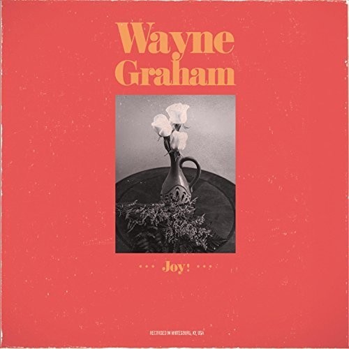 Wayne Graham - Joy in the group CD / Pop at Bengans Skivbutik AB (3338218)