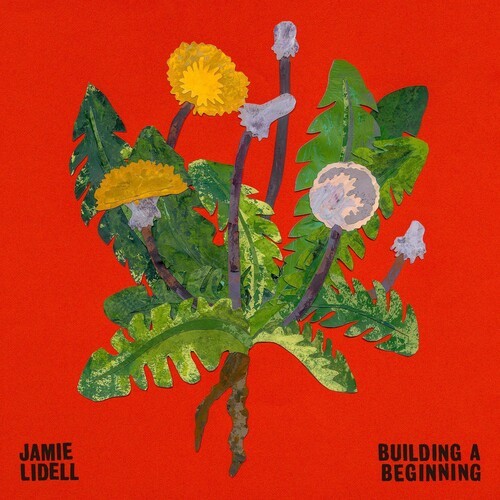 Lidell Jamie - Building A Beginning in the group CD / Pop at Bengans Skivbutik AB (3339982)