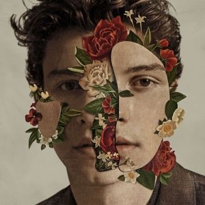 Shawn Mendes - Shawn Mendes (Vinyl) in the group VINYL / Pop-Rock at Bengans Skivbutik AB (3372756)