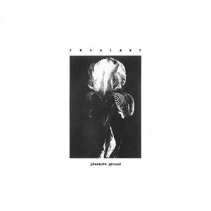 Prurient - Pleasure Ground in the group VINYL / Vinyl Electronica at Bengans Skivbutik AB (3408555)